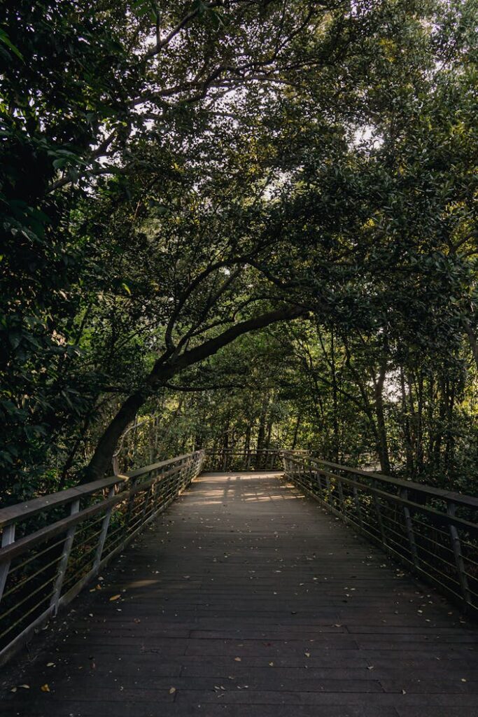 pexels photo 13162215.jpeg