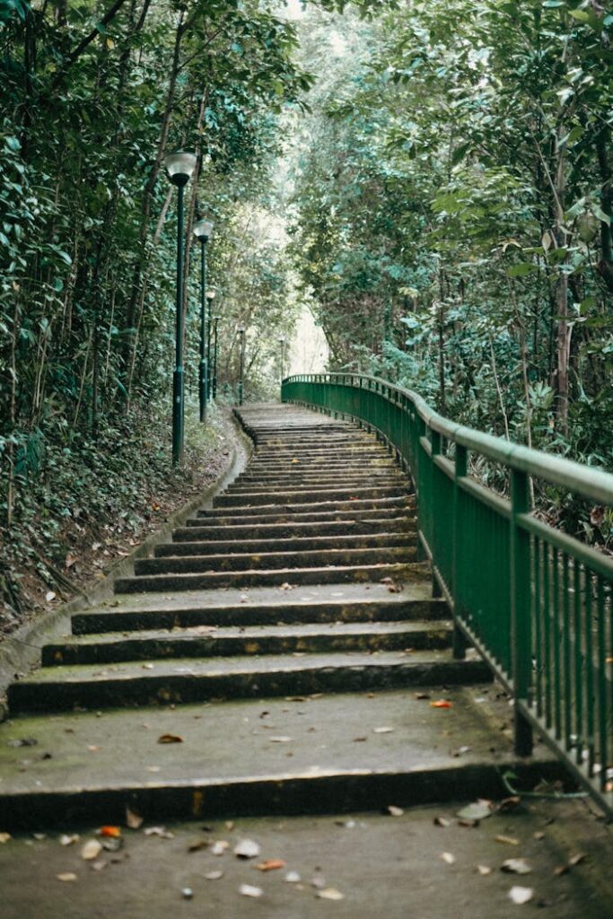 Serene outdoor pathway surrounded by lush greenery and tall trees in a peaceful park setting.